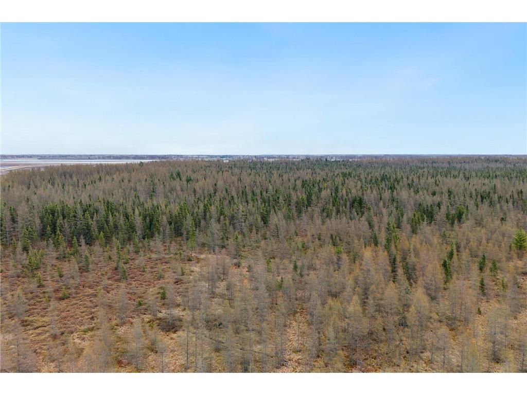 38705 430th Street Morrison Twp MN 56431 7064949 image33