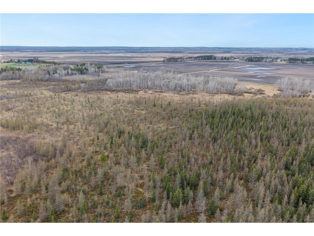 38705 430th Street Morrison Twp MN 56431 7064949 image36