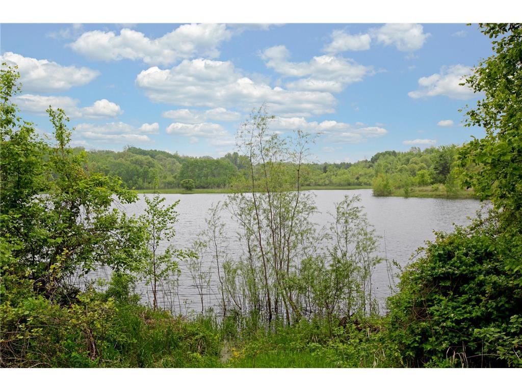 3873 Dolomite Drive Eagan MN 55122 6823481 image44