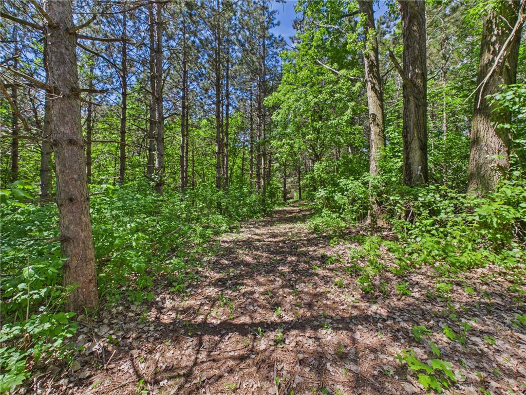 38739 County Road 10 Albany MN 56307 7061149 image47