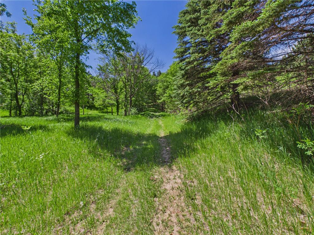 38739 County Road 10 Albany MN 56307 7061149 image48