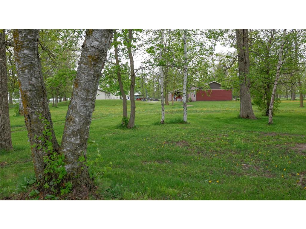 38742 County Highway 19 Bluffton MN 56518 7060756 image15