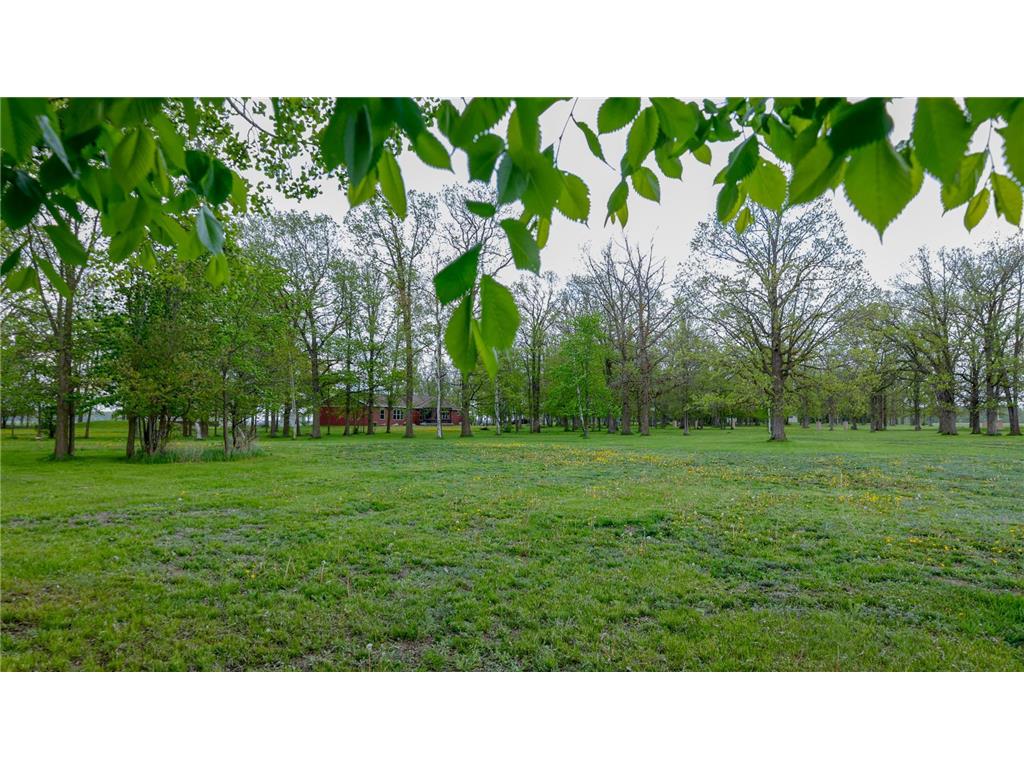 38742 County Highway 19 Bluffton MN 56518 7060756 image16