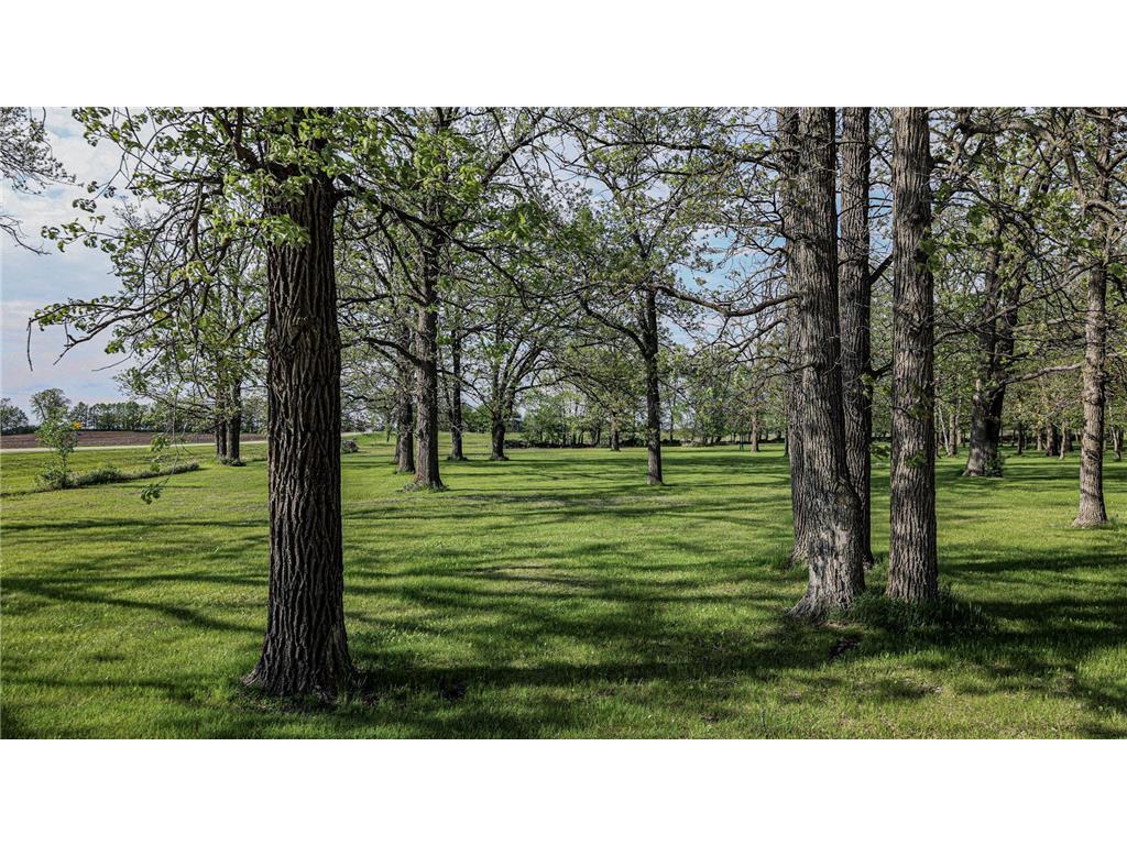 38742 County Highway 19 Bluffton MN 56518 7060756 image60
