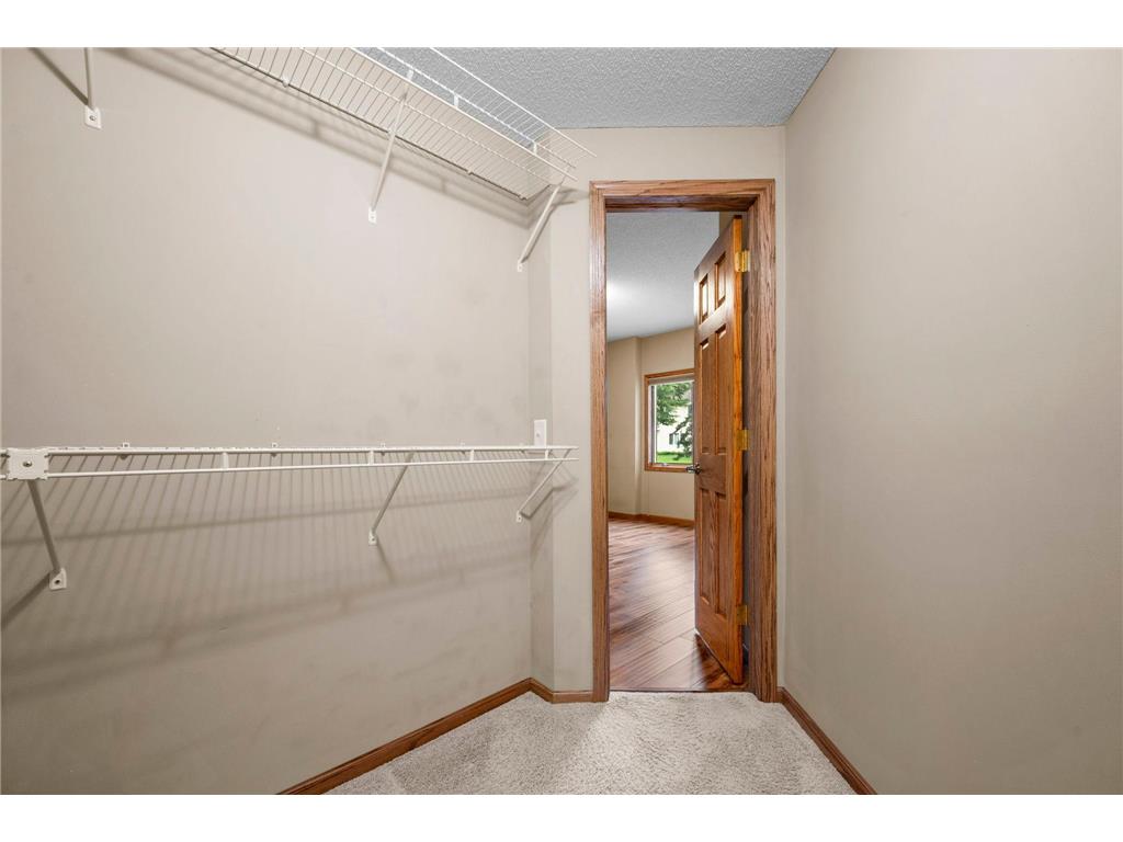 3878 Arlington Drive Woodbury MN 55129 7090101 image67