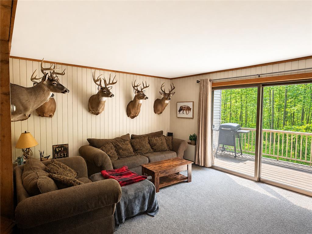 388 Quadna Mountain Road Hill City MN 55748 - Hill Lake 7082870 image5