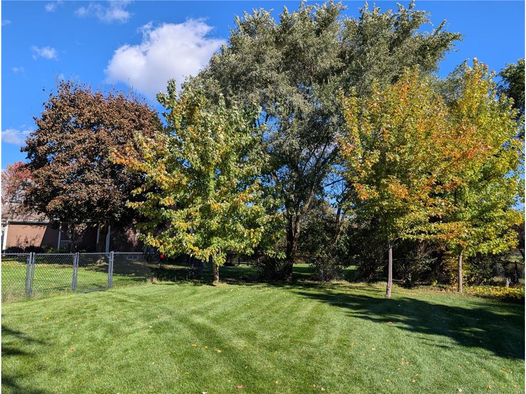 3882 121st Circle NW Coon Rapids MN 55433 7046790 image49
