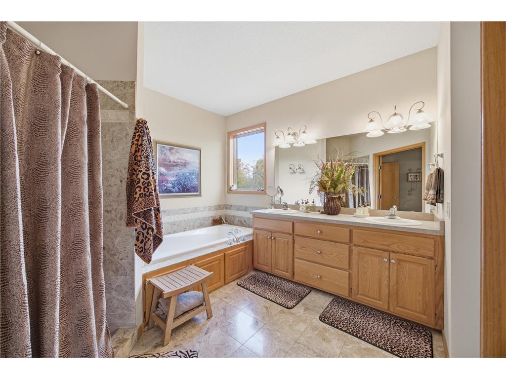 3882 219th Lane NE East Bethel MN 55011 6810332 image23