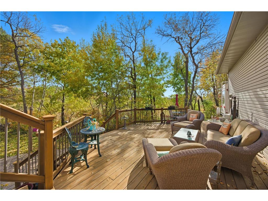 3882 219th Lane NE East Bethel MN 55011 6810332 image41