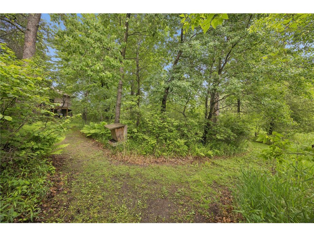 3882 219th Lane NE East Bethel MN 55011 6810332 image53