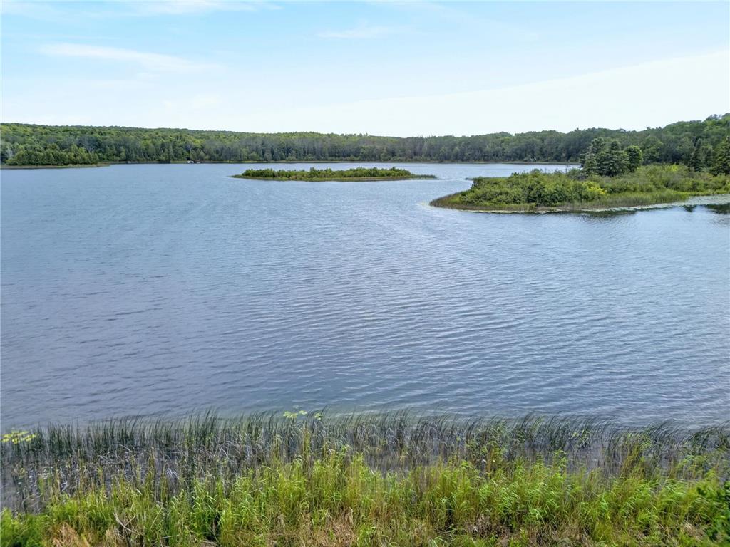 38837 Sissebakwet Shores Road Cohasset MN 55721 - South Sugar 7104446 image41