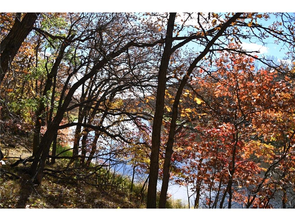 38869 Odin Court Ward Twp MN 56438 - Long Prairie River 6743201 image1