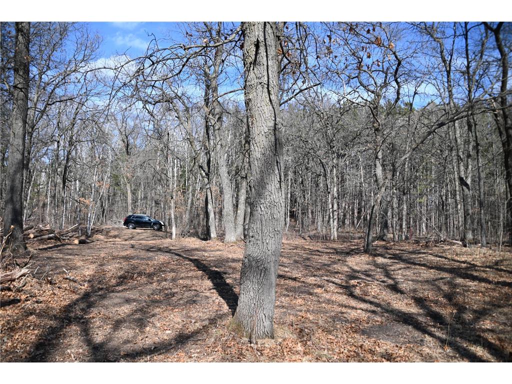 38869 Odin Court Ward Twp MN 56438 - Long Prairie River 6743201 image11