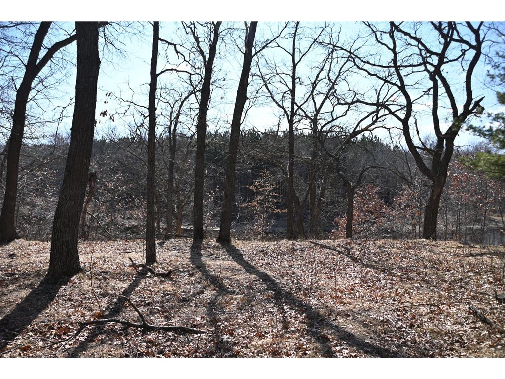 38869 Odin Court Ward Twp MN 56438 - Long Prairie River 6743201 image12