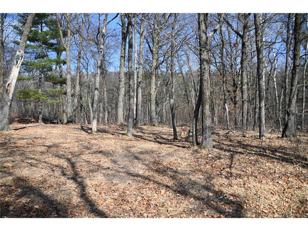 38869 Odin Court Ward Twp MN 56438 - Long Prairie River 6743201 image13