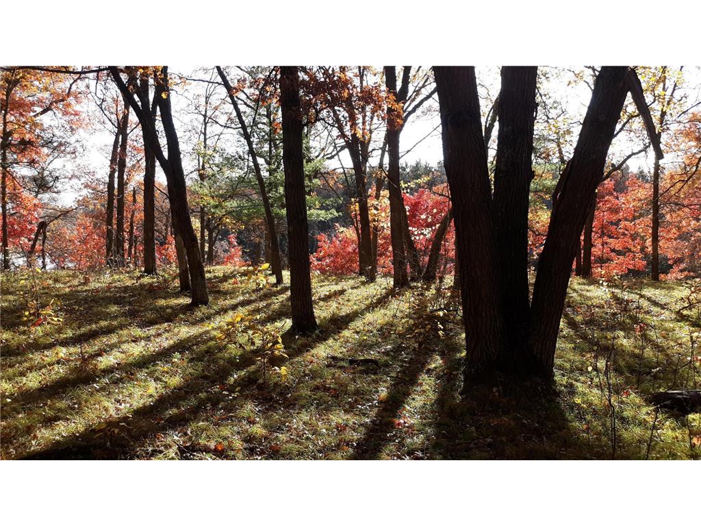 38869 Odin Court Ward Twp MN 56438 - Long Prairie River 6743201 image17