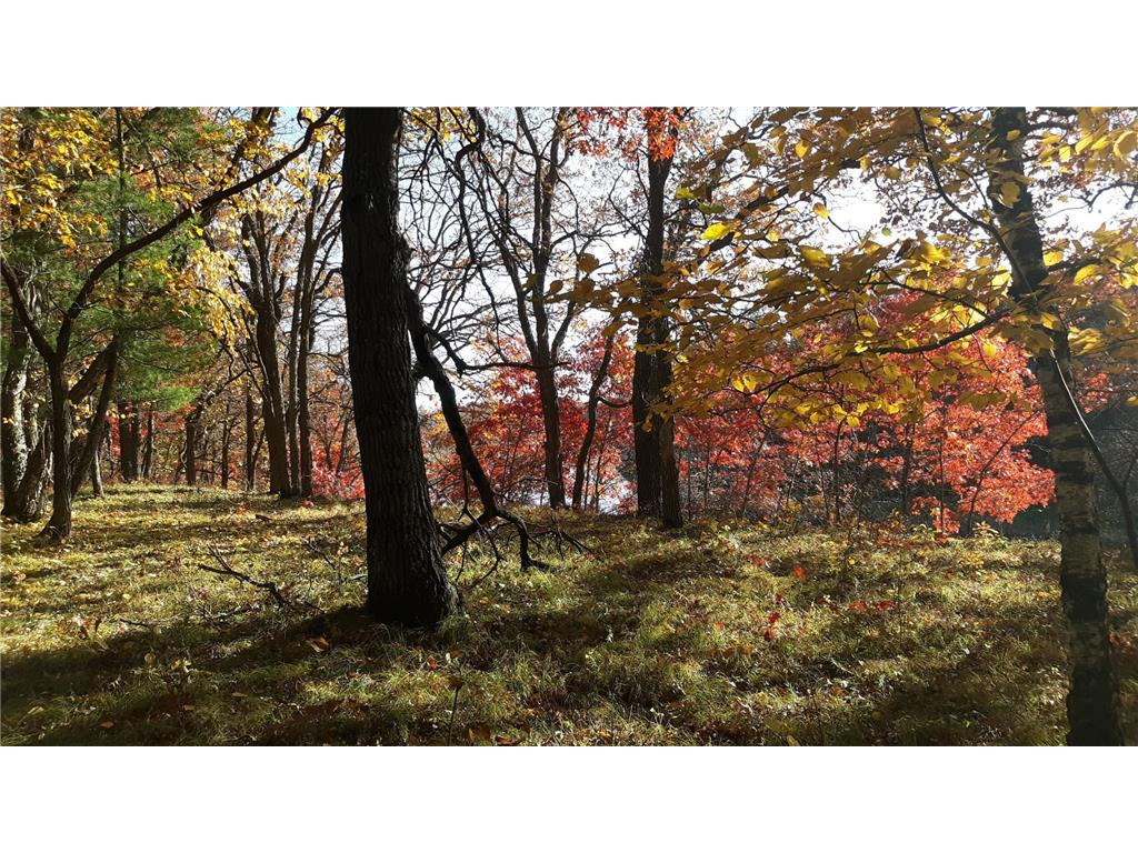 38869 Odin Court Ward Twp MN 56438 - Long Prairie River 6743201 image18