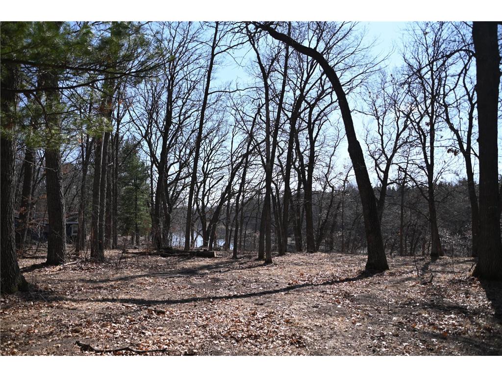 38869 Odin Court Ward Twp MN 56438 - Long Prairie River 6743201 image6