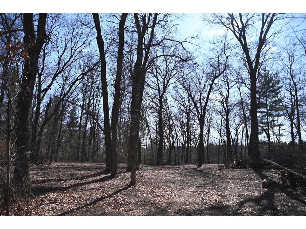 38869 Odin Court Ward Twp MN 56438 - Long Prairie River 6743201 image7