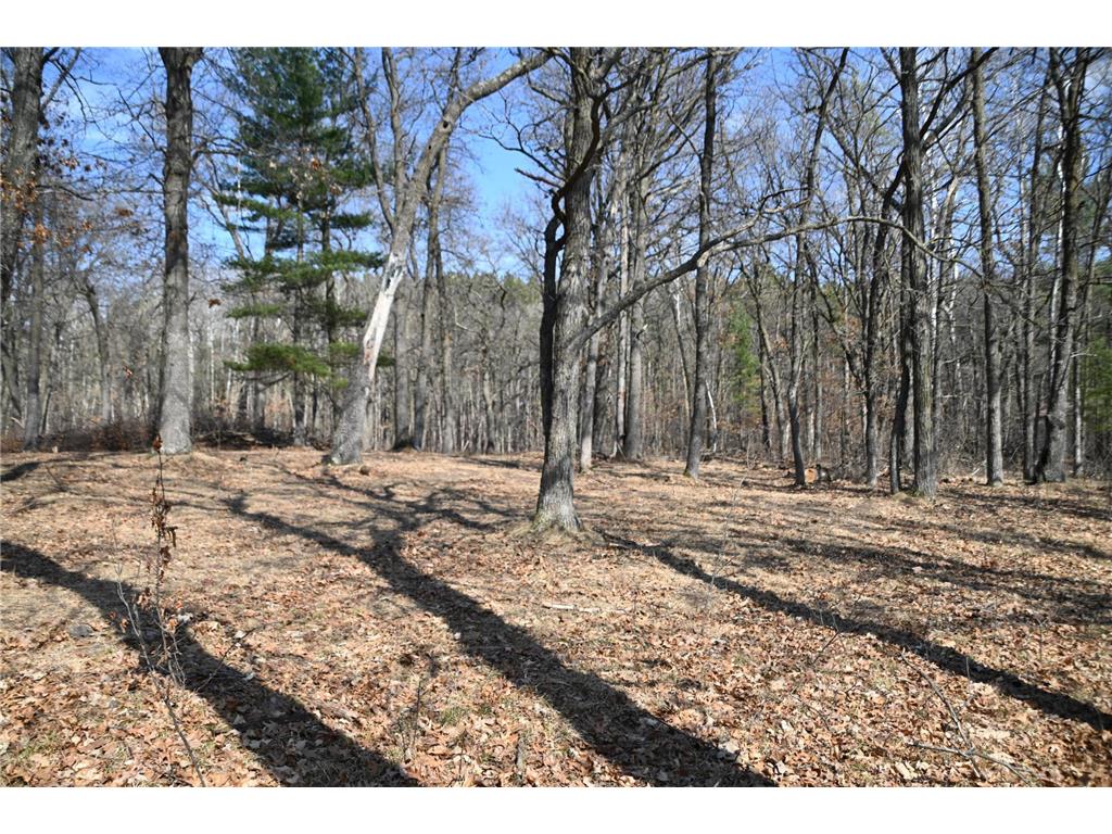 38869 Odin Court Ward Twp MN 56438 - Long Prairie River 6743201 image8