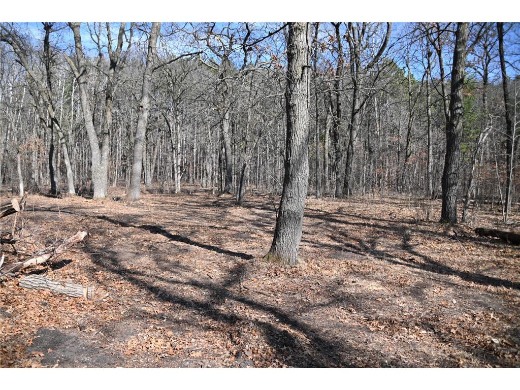 38869 Odin Court Ward Twp MN 56438 - Long Prairie River 6743201 image9