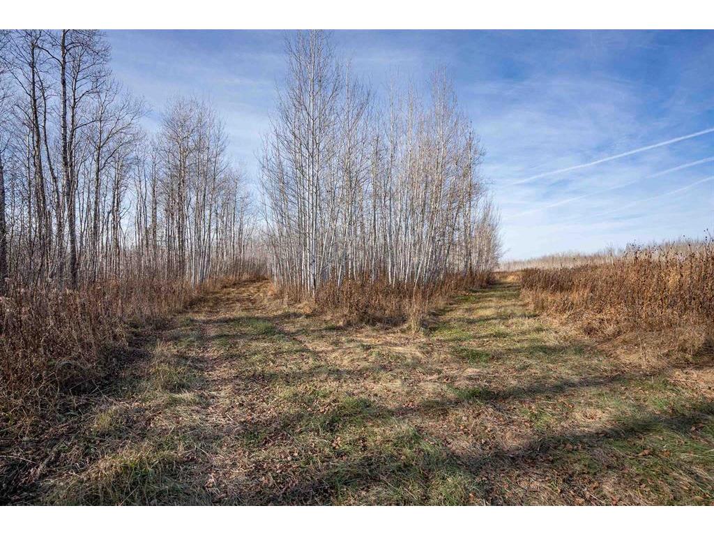 3887 S Lyman Lake Road Parkland Twp WI 54874 6820146 image33