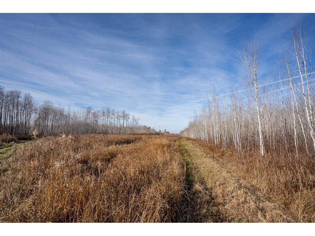 3887 S Lyman Lake Road Parkland Twp WI 54874 6820146 image35