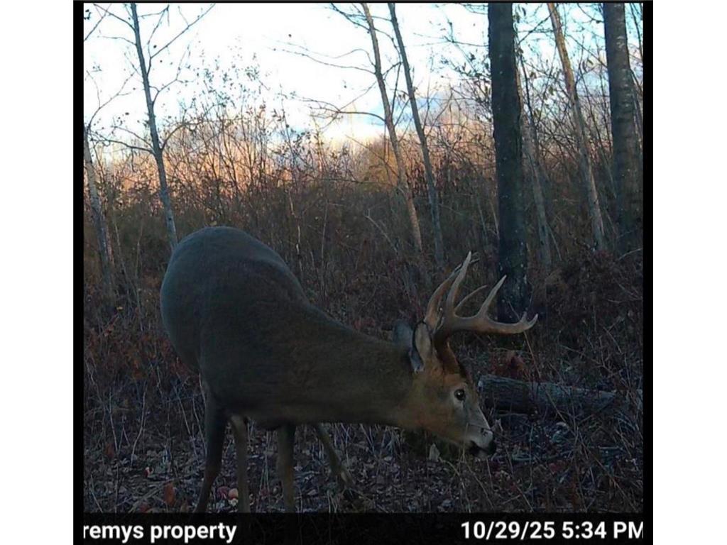 3887 S Lyman Lake Road Parkland Twp WI 54874 6820146 image39