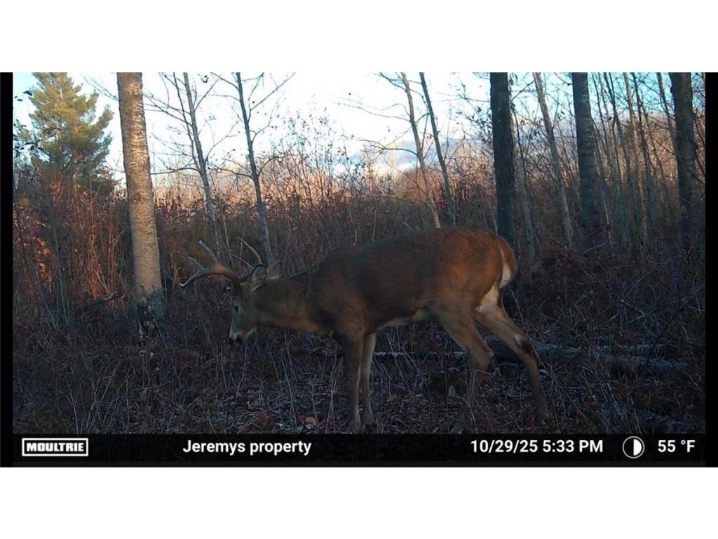 3887 S Lyman Lake Road Parkland Twp WI 54874 6820146 image40