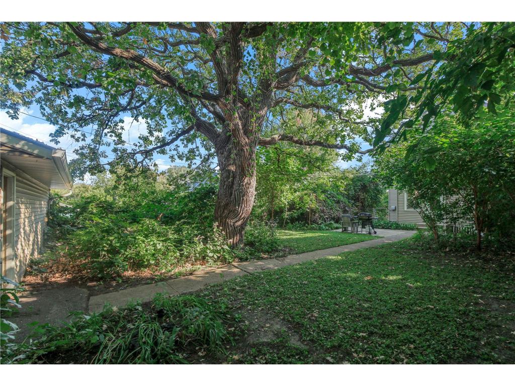 389 Fairview Avenue N Saint Paul MN 55104 7045756 image53