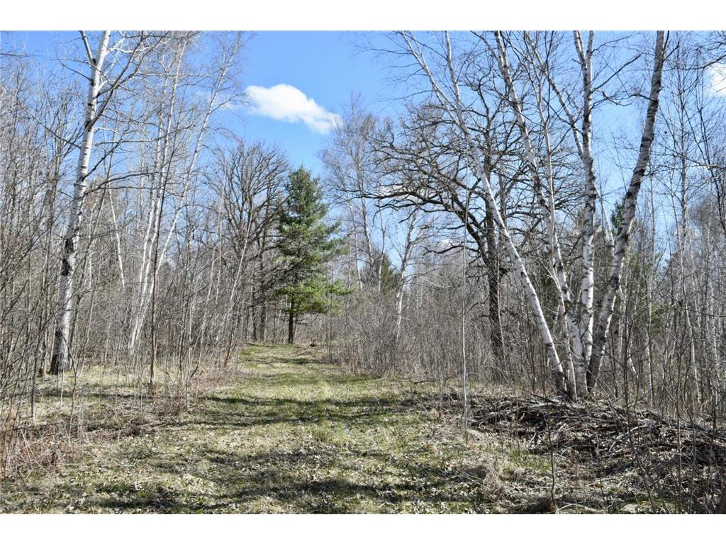 38922 County 45 Laporte MN 56461 7046614 image11