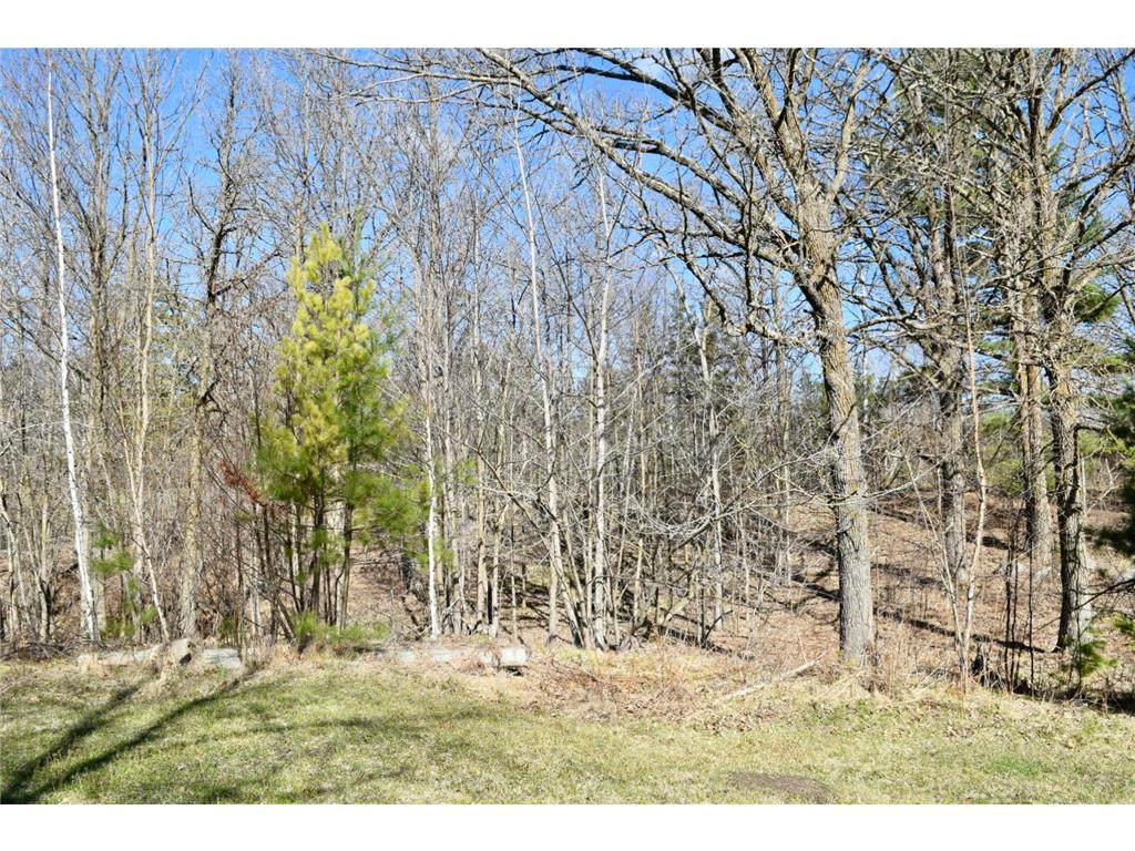 38922 County 45 Laporte MN 56461 7046614 image13