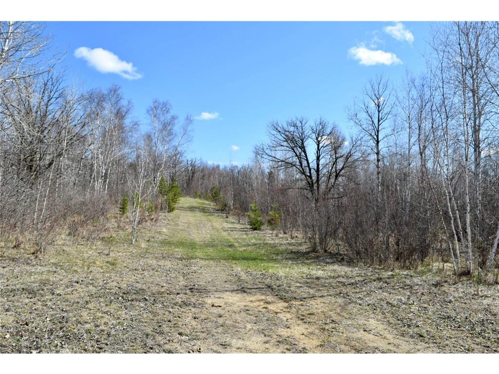 38922 County 45 Laporte MN 56461 7046614 image15
