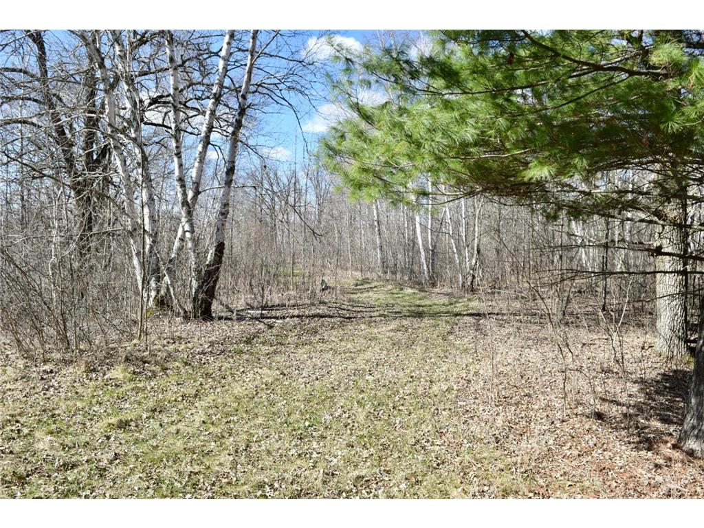 38922 County 45 Laporte MN 56461 7046614 image9
