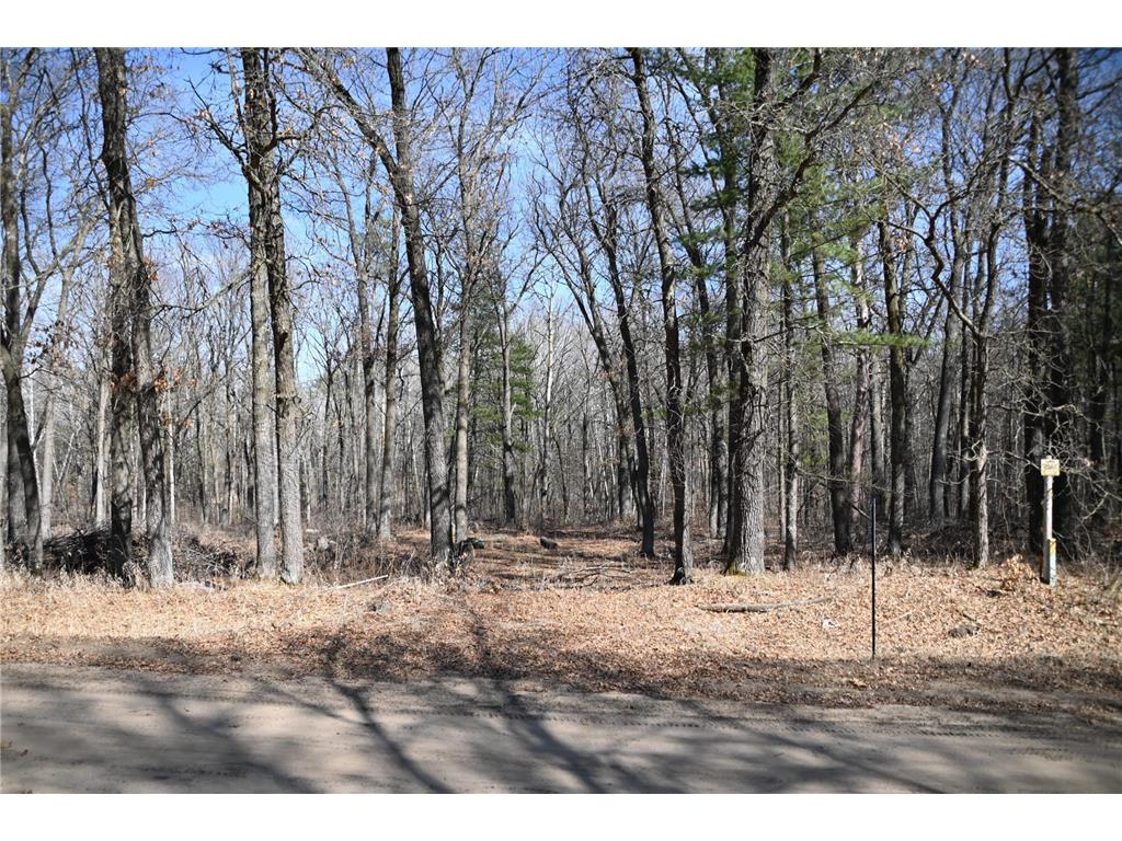 38970 Odin Court Moran Twp MN 56438 - Pine Island 7034466 image1