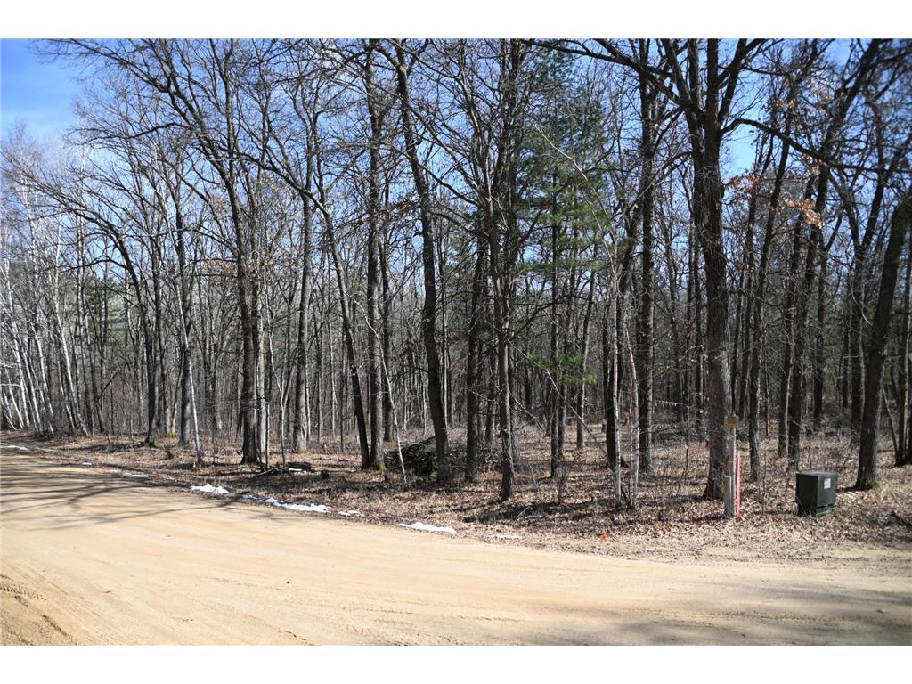 38970 Odin Court Moran Twp MN 56438 - Pine Island 7034466 image11
