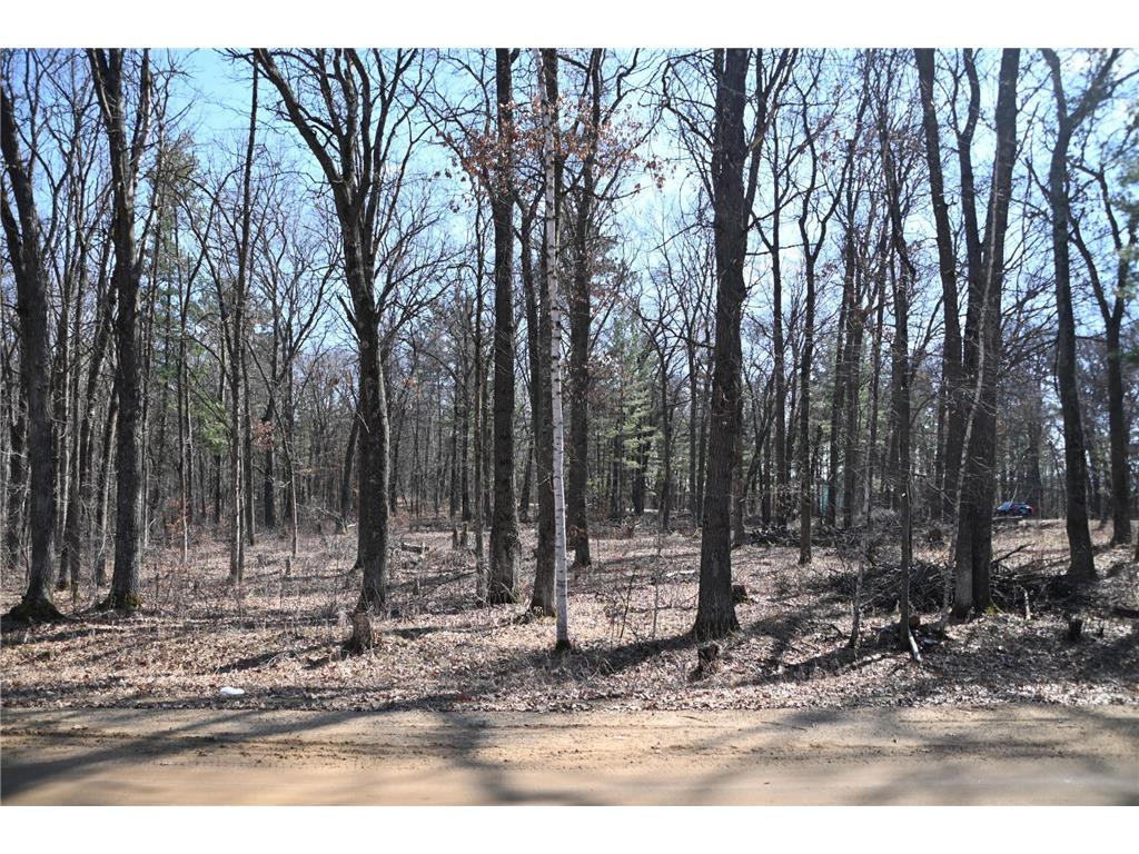 38970 Odin Court Moran Twp MN 56438 - Pine Island 7034466 image12