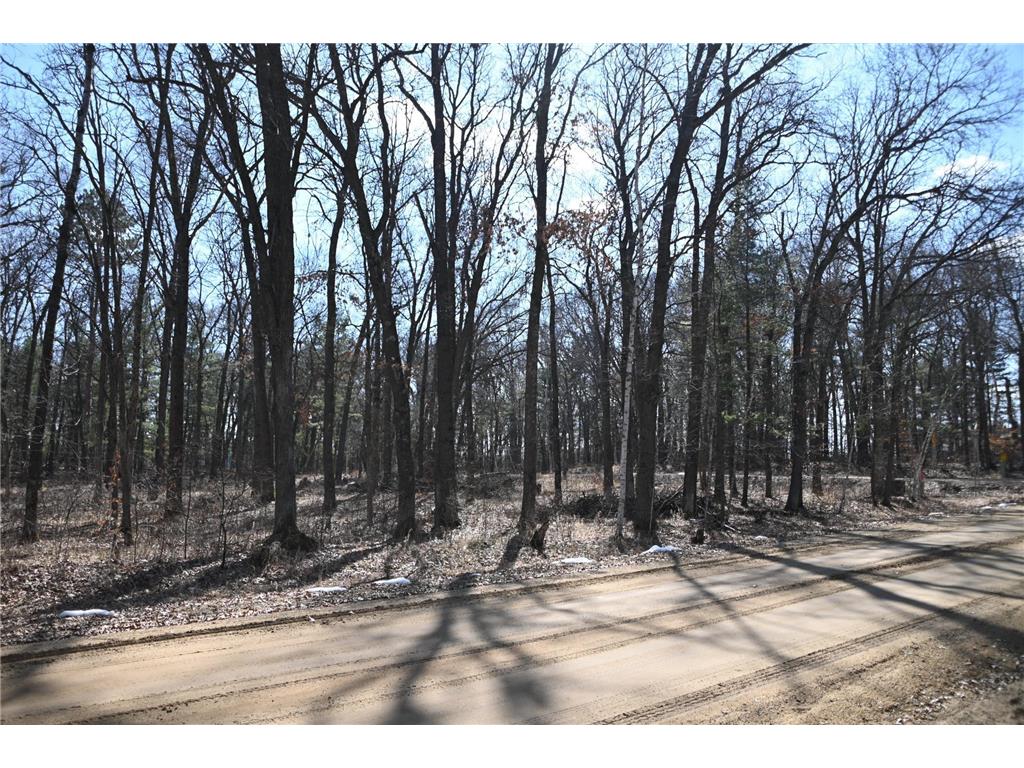38970 Odin Court Moran Twp MN 56438 - Pine Island 7034466 image13