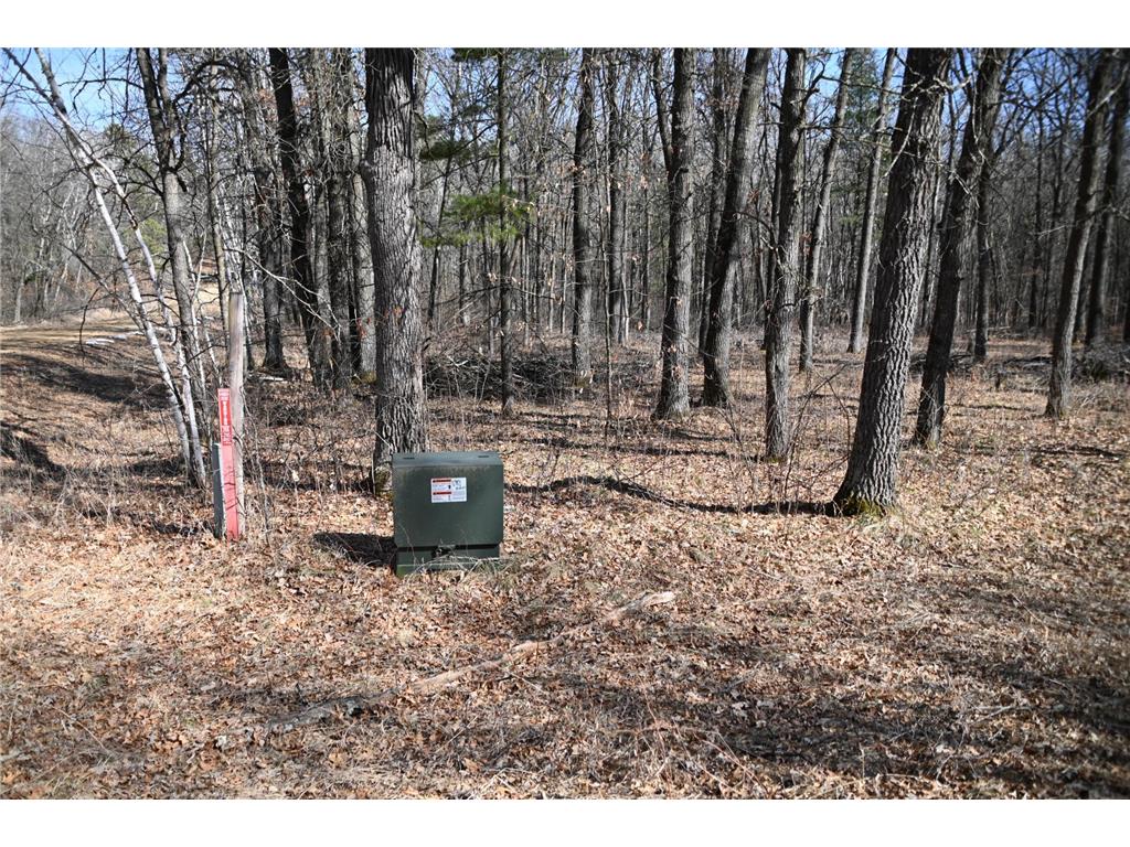 38970 Odin Court Moran Twp MN 56438 - Pine Island 7034466 image14