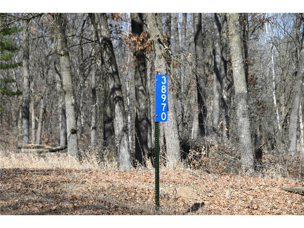 38970 Odin Court Moran Twp MN 56438 - Pine Island 7034466 image15