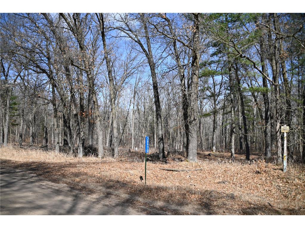 38970 Odin Court Moran Twp MN 56438 - Pine Island 7034466 image2