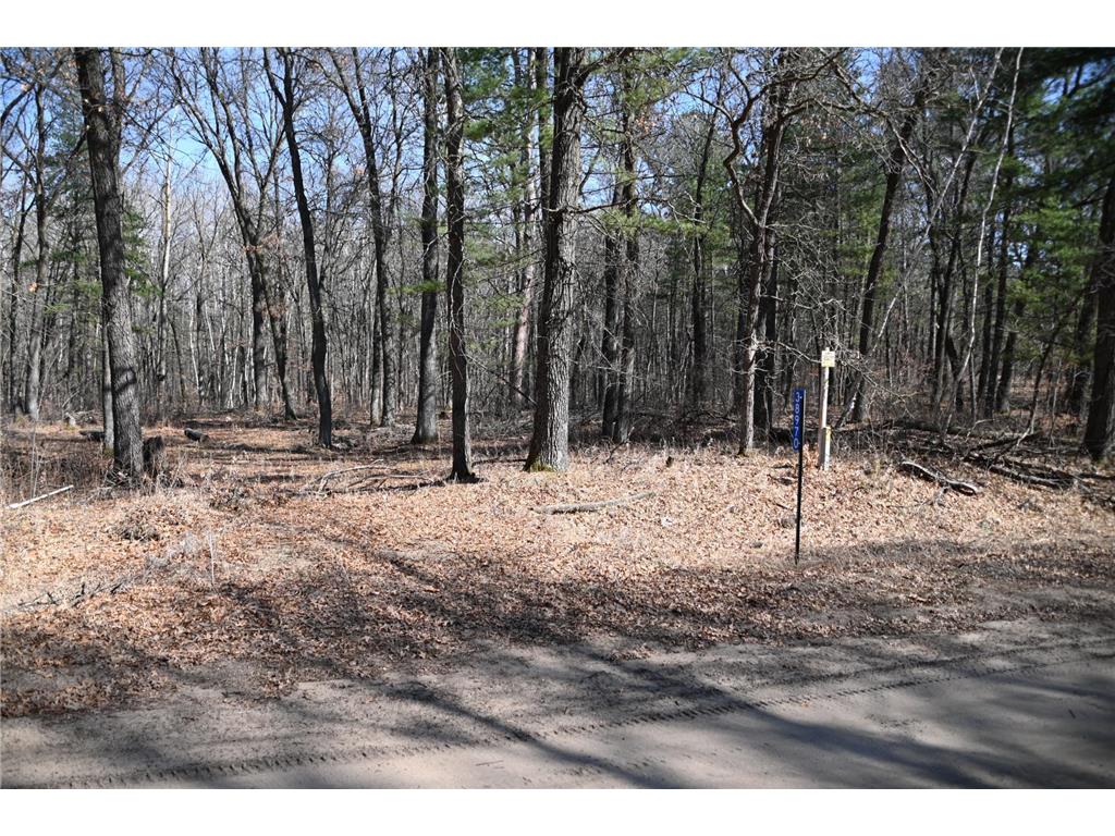 38970 Odin Court Moran Twp MN 56438 - Pine Island 7034466 image3