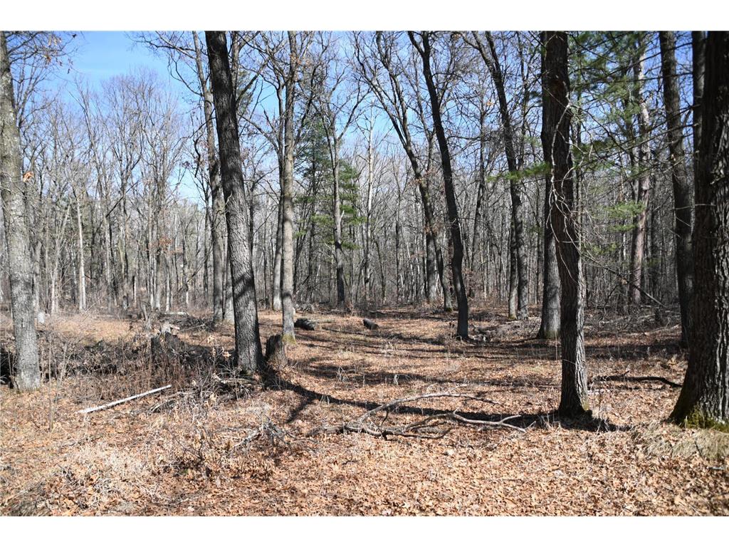 38970 Odin Court Moran Twp MN 56438 - Pine Island 7034466 image4