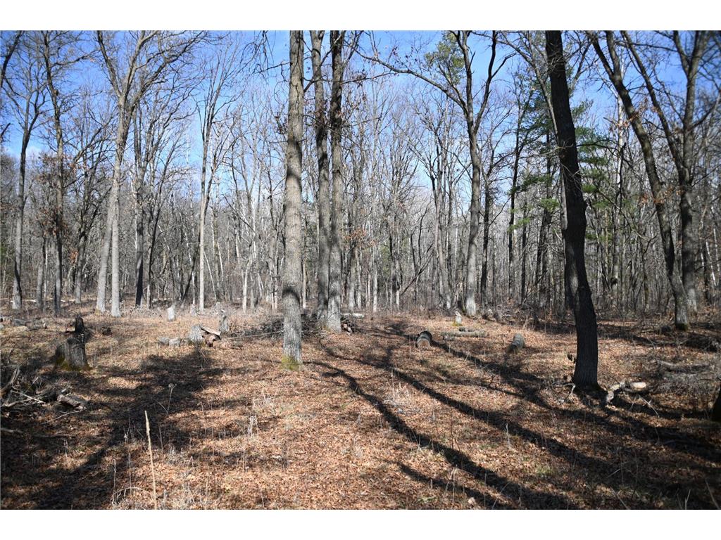 38970 Odin Court Moran Twp MN 56438 - Pine Island 7034466 image5