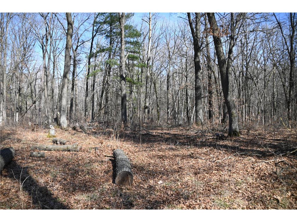 38970 Odin Court Moran Twp MN 56438 - Pine Island 7034466 image7
