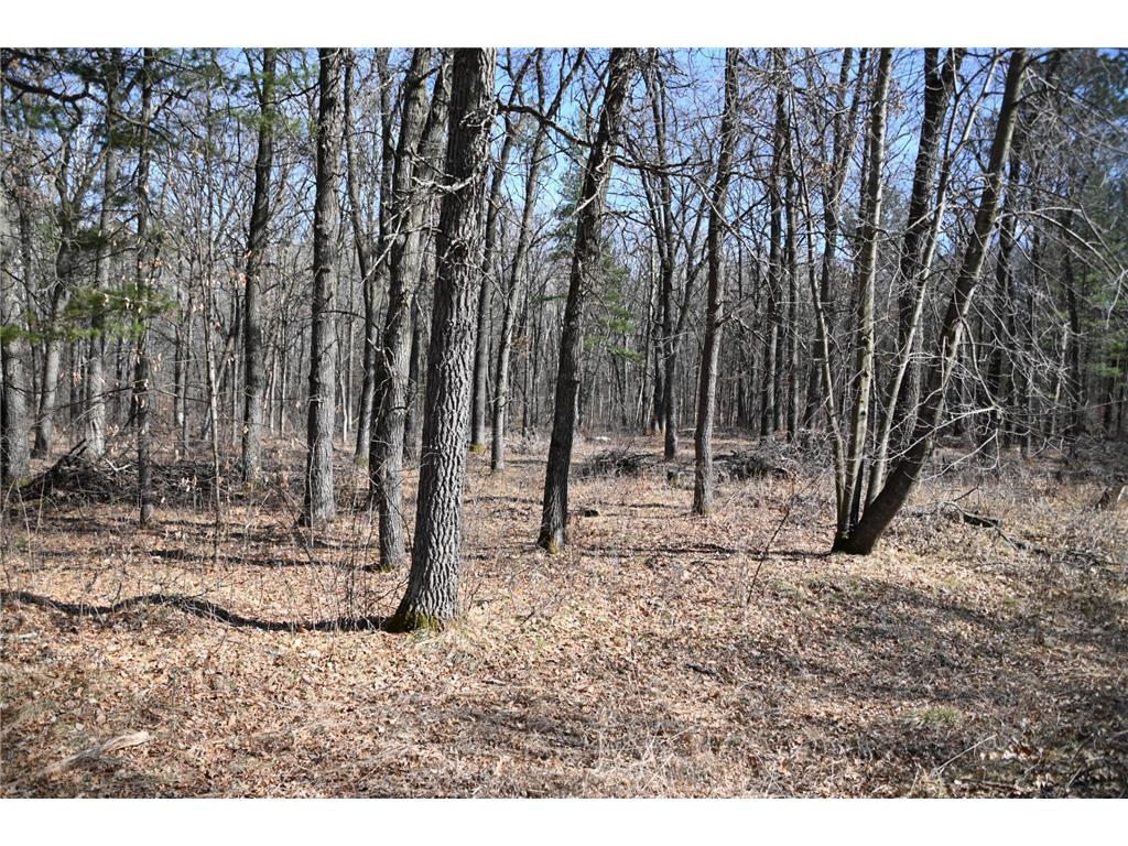 38970 Odin Court Moran Twp MN 56438 - Pine Island 7034466 image8