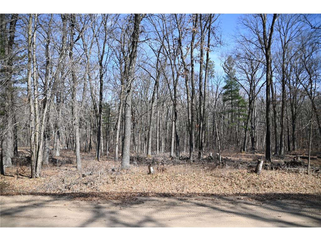 38970 Odin Court Moran Twp MN 56438 - Pine Island 7034466 image9