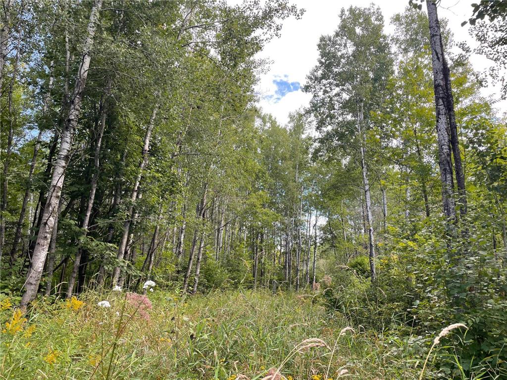 38XX Hytten Acres Trail Gnesen Twp MN 55803 6602577 image1