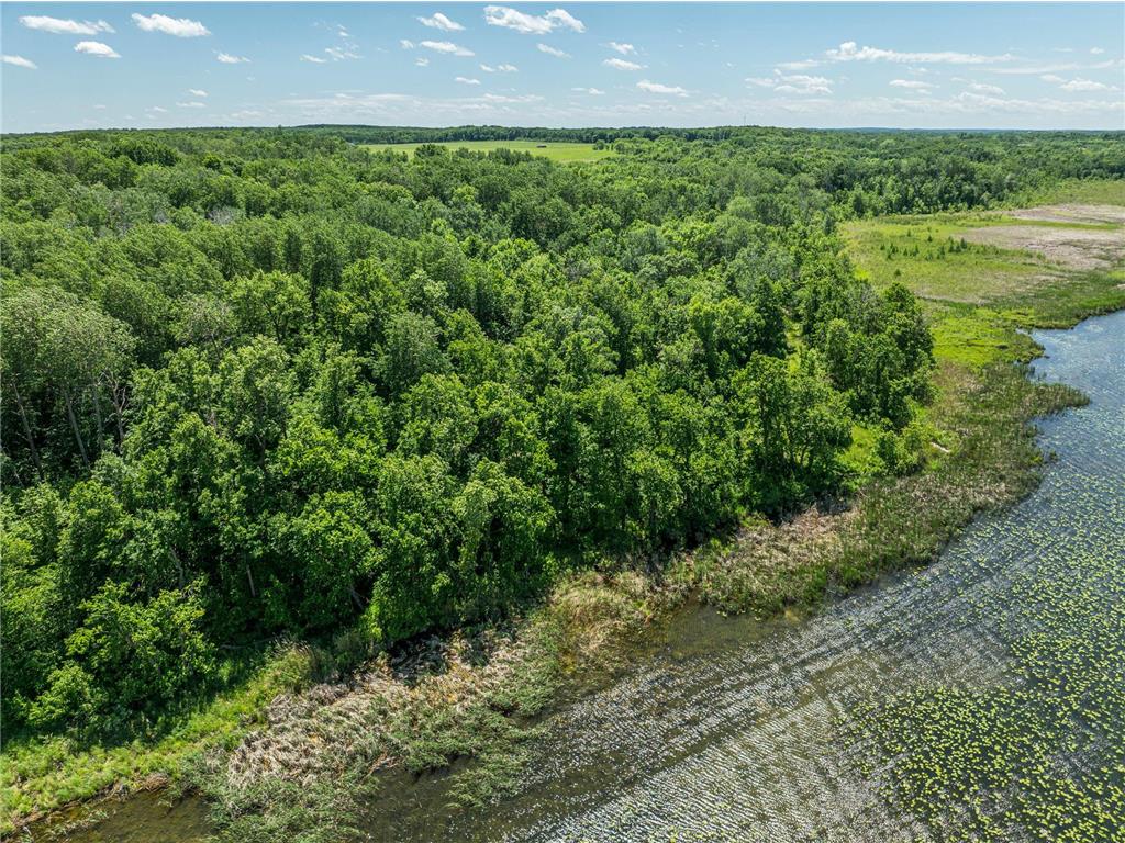 38XXX 385th Street Dead Lake Twp MN 56576 - Lily Lake 7070458 image10