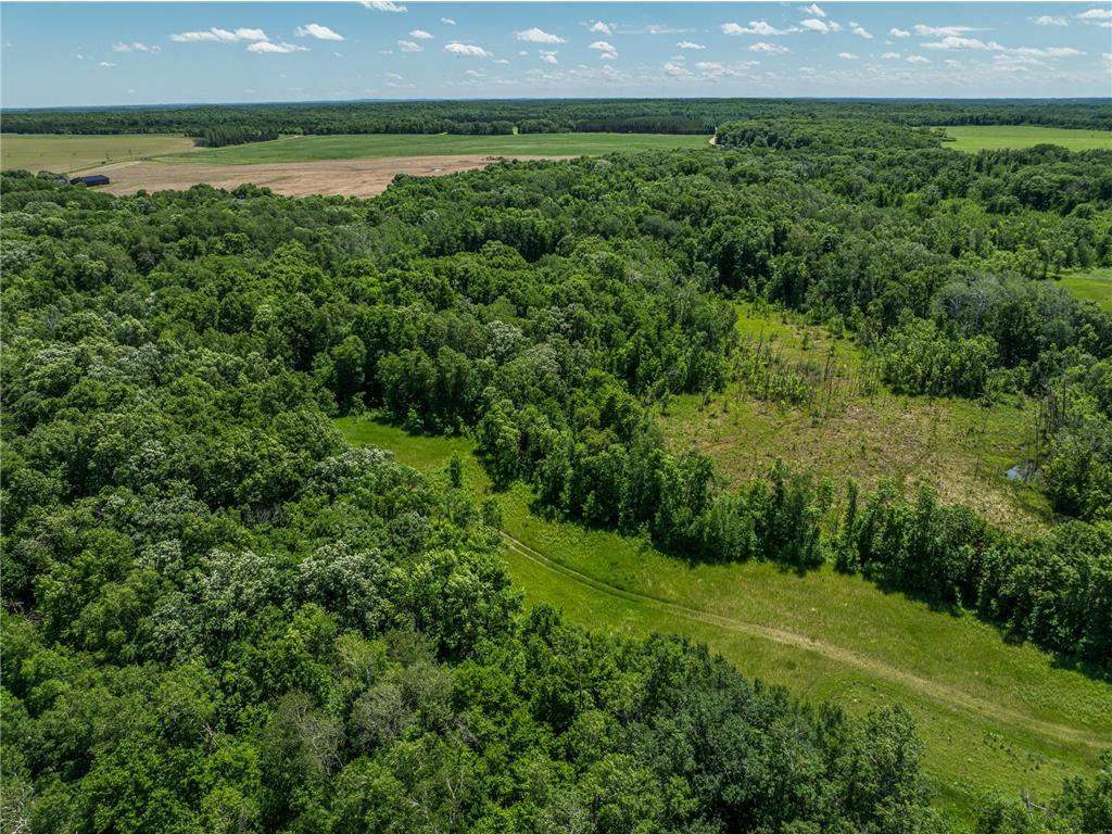 38XXX 385th Street Dead Lake Twp MN 56576 - Lily Lake 7070458 image14